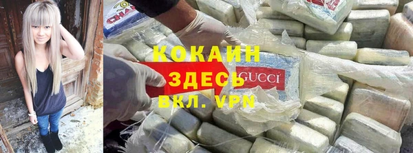 герыч Алексин