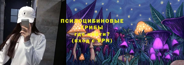 герыч Алексин