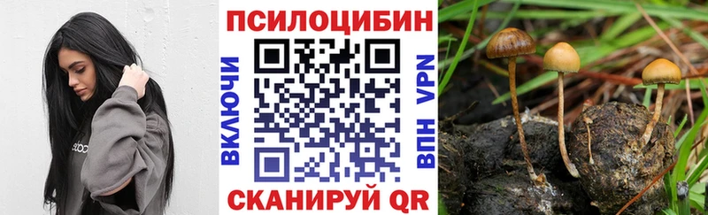 Галлюциногенные грибы мухоморы  Кириши 